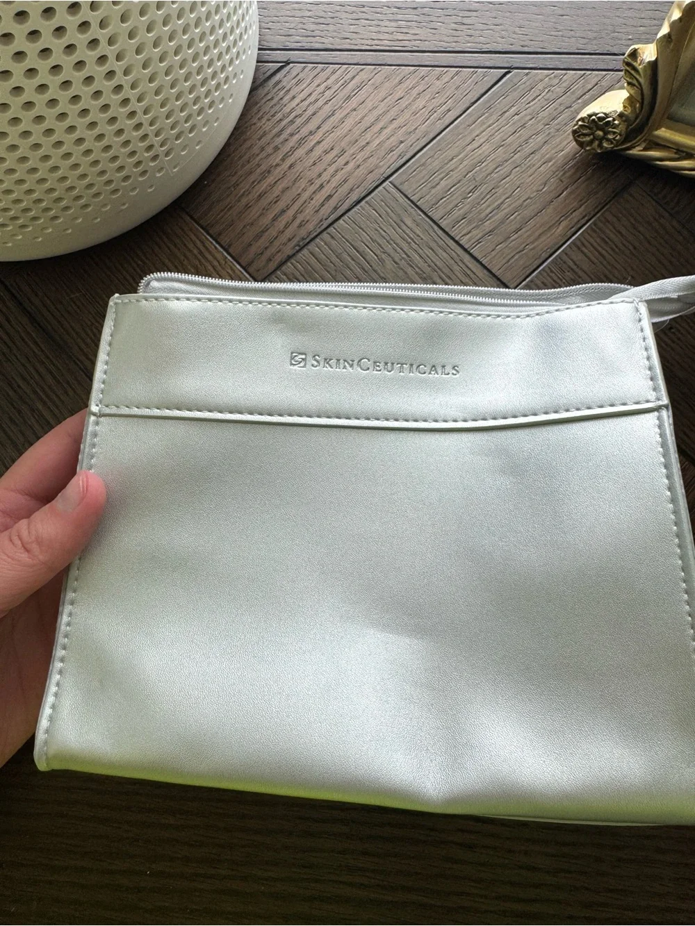 SkinCeuticals Metallic Silver Cosmetic Pouch